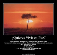 /album/peace-in-this-world/foto-paz-copia-jpg/